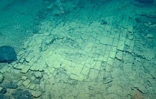 El "camino de baldosas amarillas" descubierto en las profundidades del Pacífico