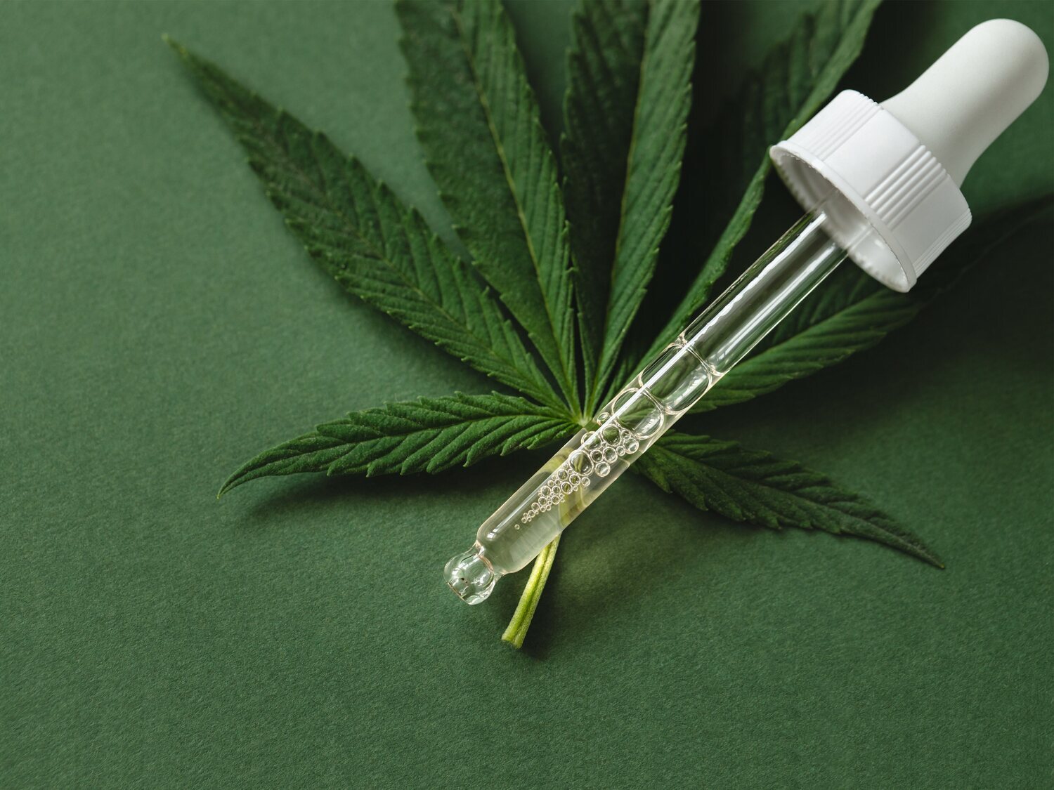 El PSOE ya tiene su propuesta de regulación del cannabis medicinal