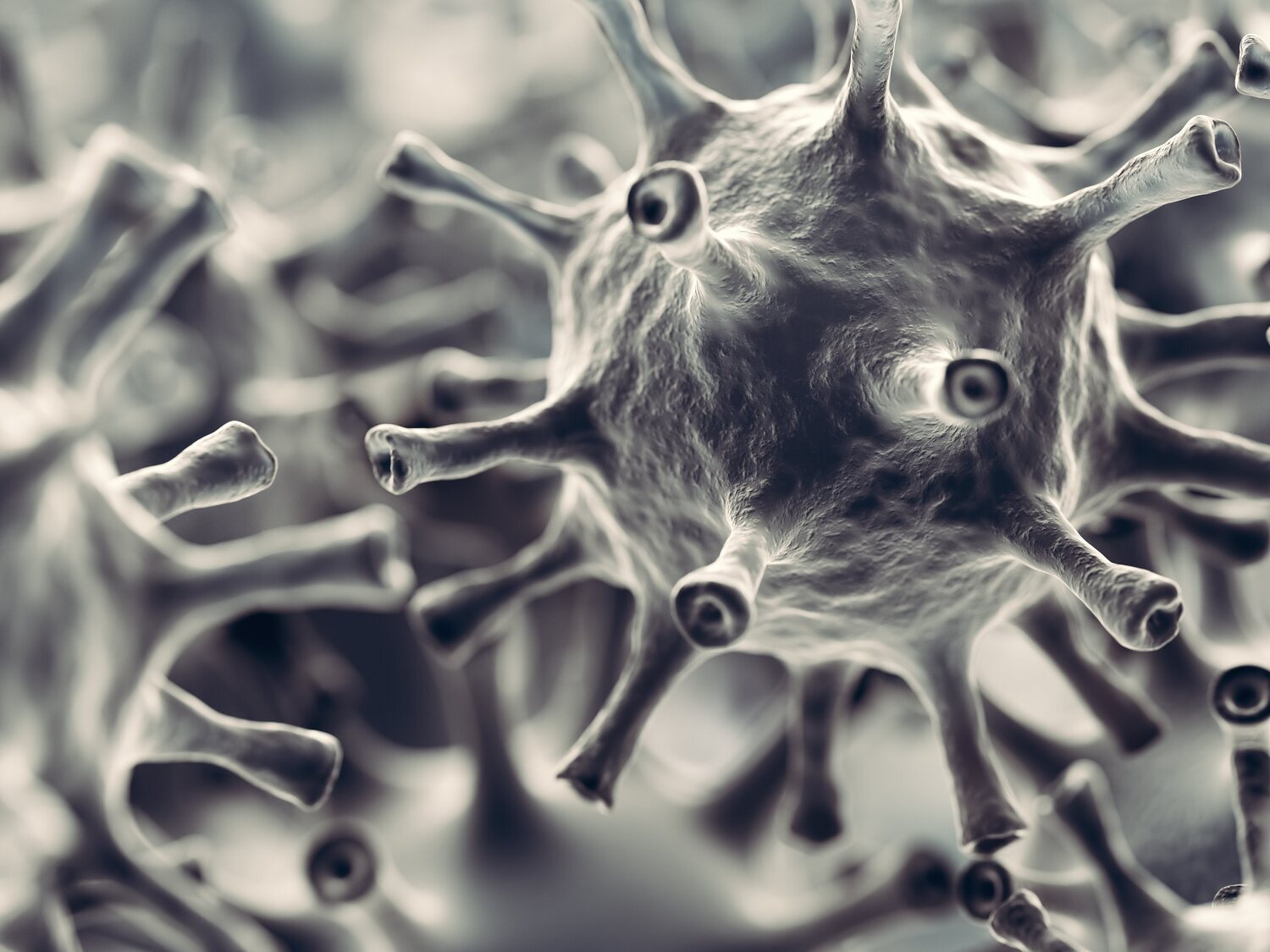 Virus Grimsö: todo lo que debes saber sobre el nuevo coronavirus que se propaga en Suecia