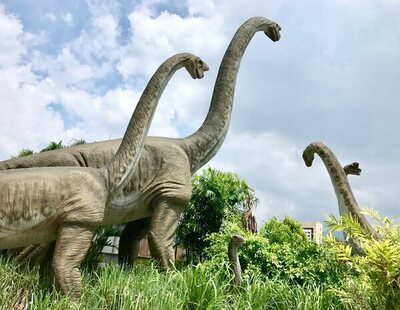 El motivo por el que ya no hay animales gigantes como los dinosaurios