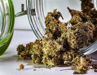 El Congreso da luz verde a la primera regulación del cannabis para un uso medicinal