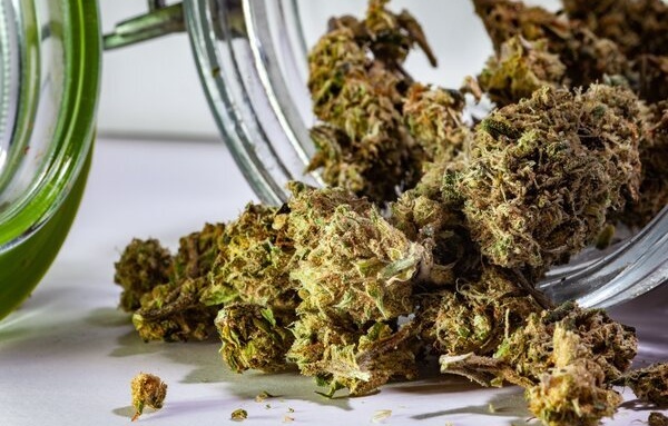 El Congreso da luz verde a la primera regulación del cannabis para un uso medicinal