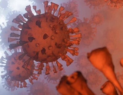 Alerta sanitaria ante la detección de Centaurus, la nueva subvariante de Ómicron: todo lo que implica