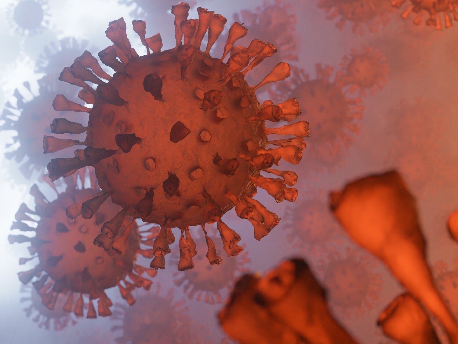 Alerta sanitaria ante la detección de Centaurus, la nueva subvariante de Ómicron: todo lo que implica