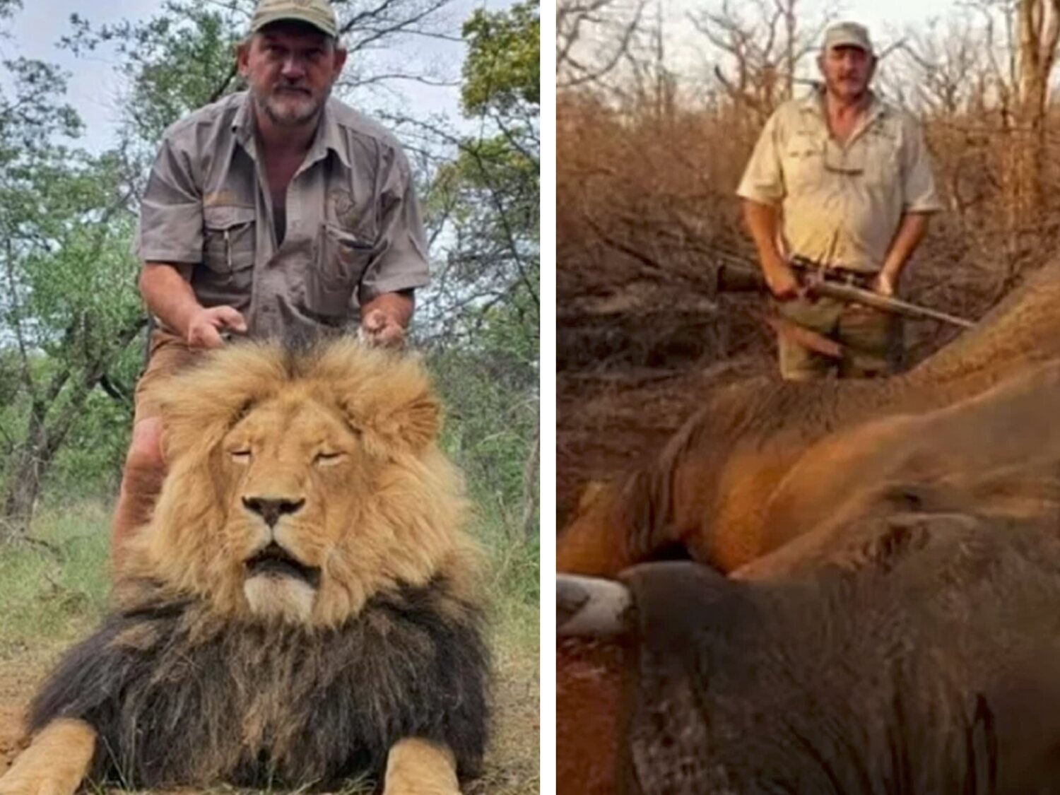 Matan con un disparo al cazador Riaan Naude mientras se dirigía a tirotear animales en un safari