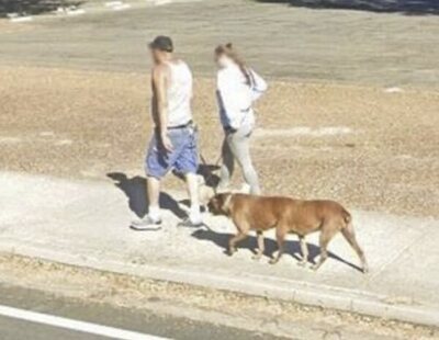 La realidad que esconde el perro de seis patas que aparece en Google Maps y enloquece a las redes sociales