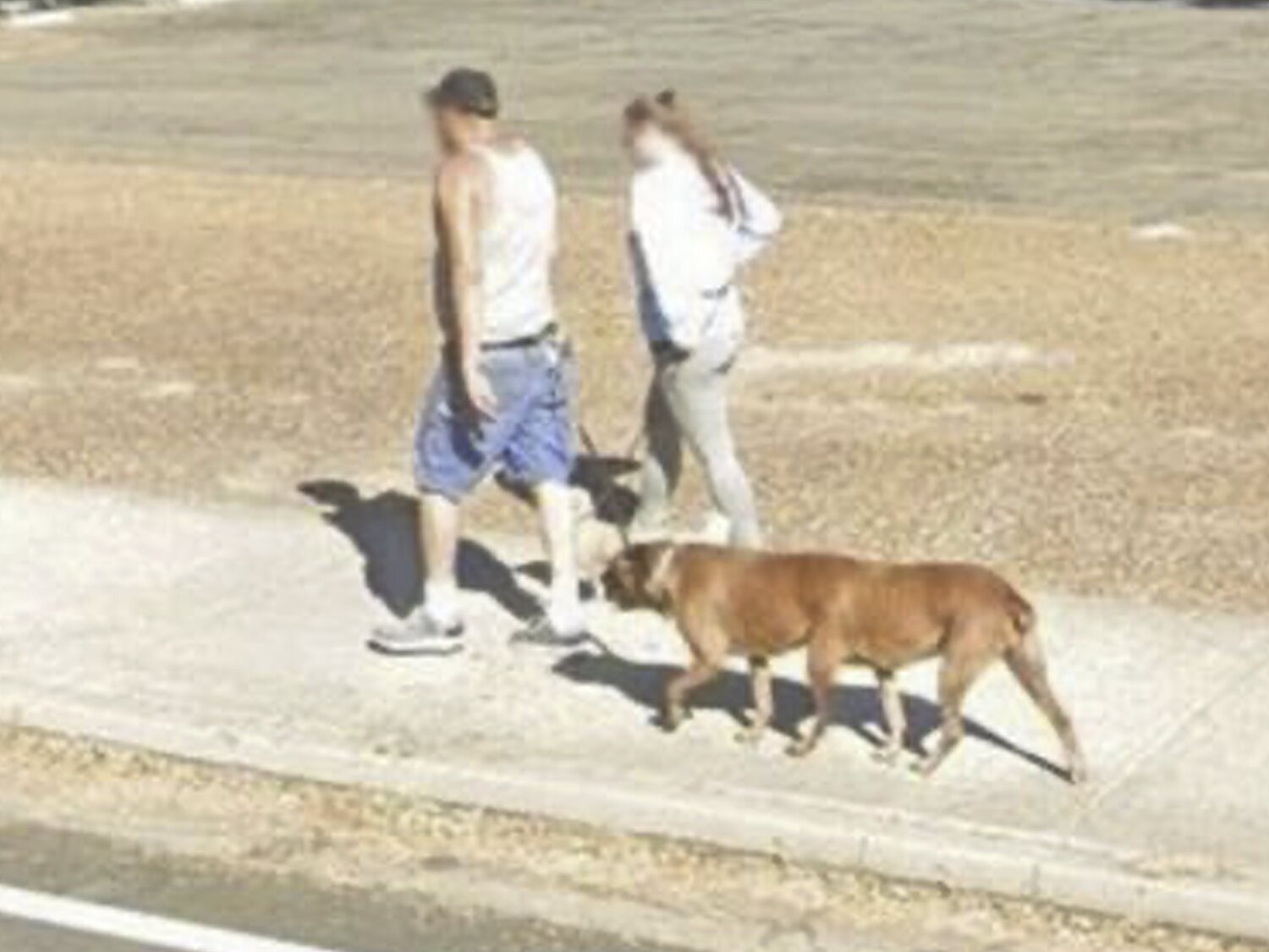 La realidad que esconde el perro de seis patas que aparece en Google Maps y enloquece a las redes sociales