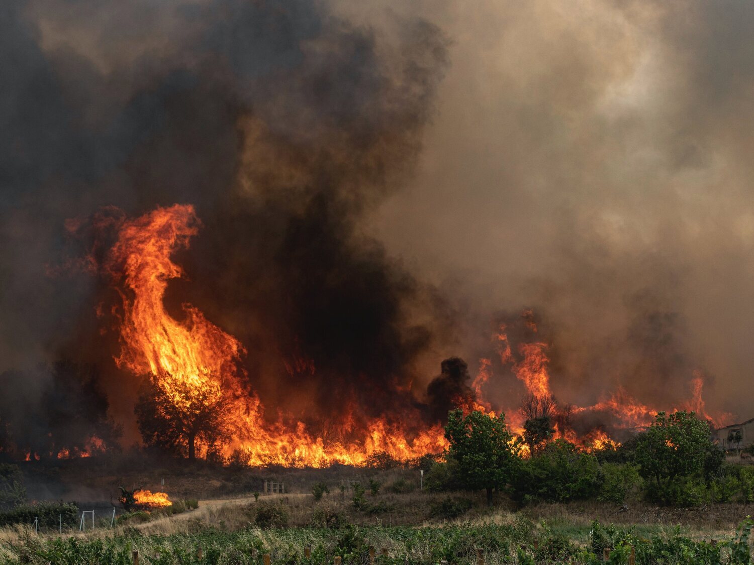 ¿Qué son los incendios de sexta generación que están arrasando España y parte de Europa?