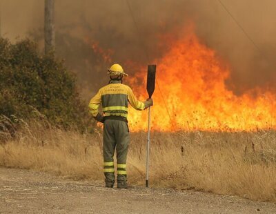 La Junta de Castilla y León señala al ecologismo como causante de los incendios de Zamora
