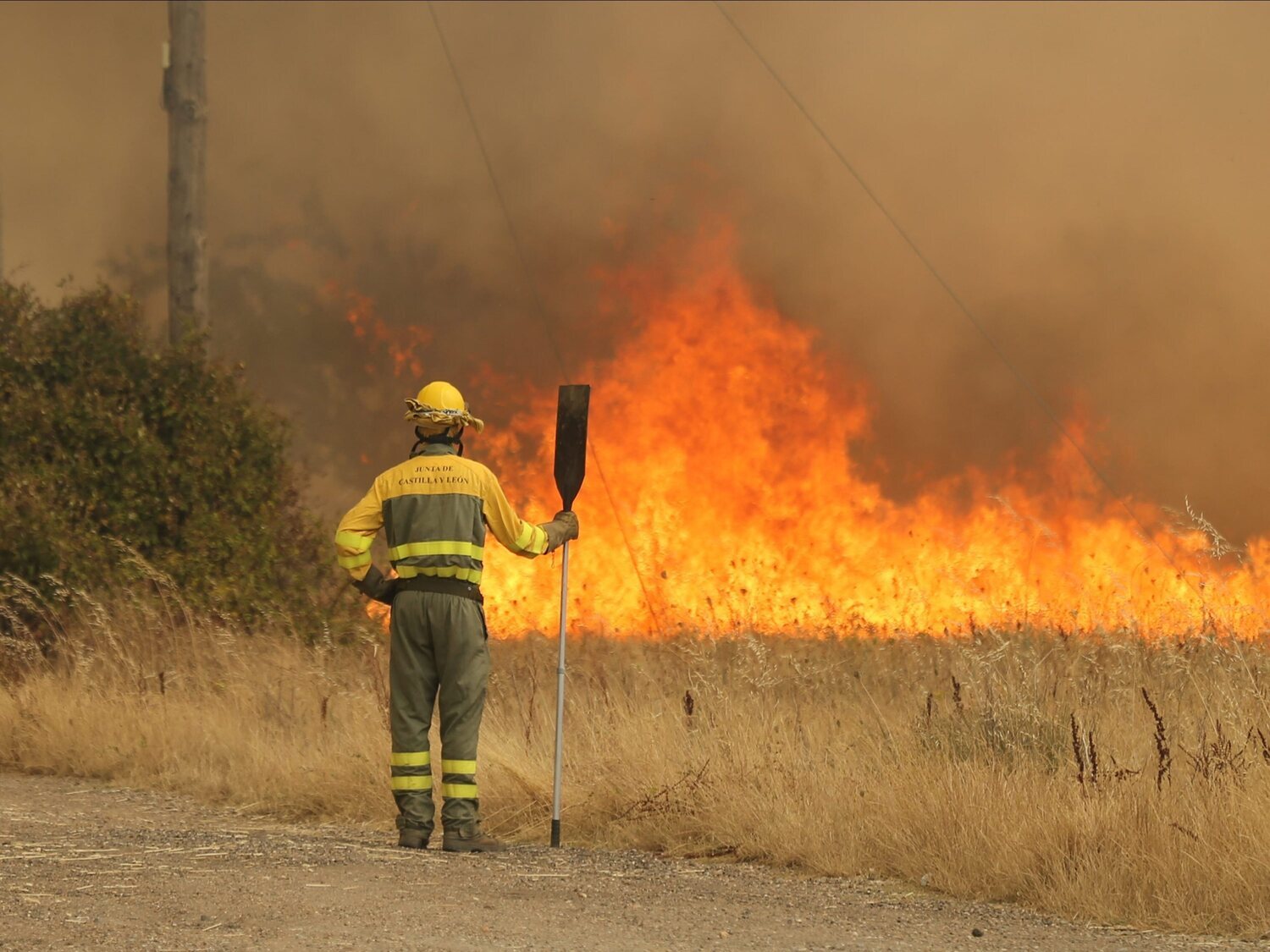 La Junta de Castilla y León señala al ecologismo como causante de los incendios de Zamora