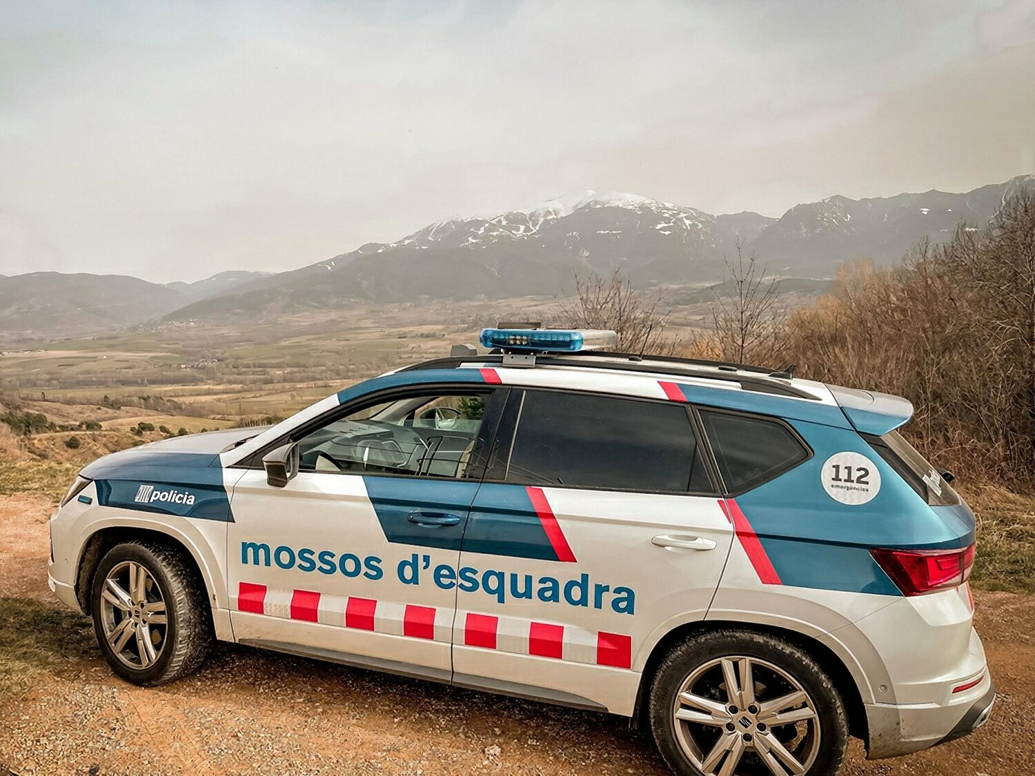 Detenido por maltratar a sus perros mojándoles con agua caliente