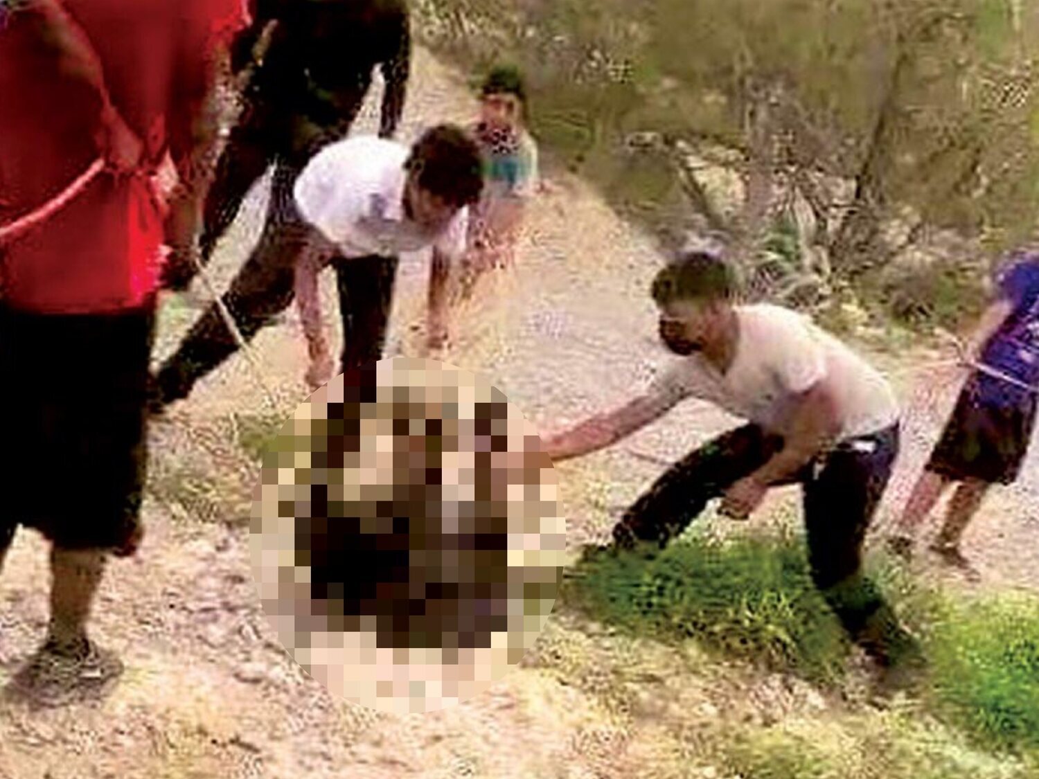 Graban a un grupo de hombres torturando y asesinando a un osezno mientras unos policías contemplan la escena sin intervenir