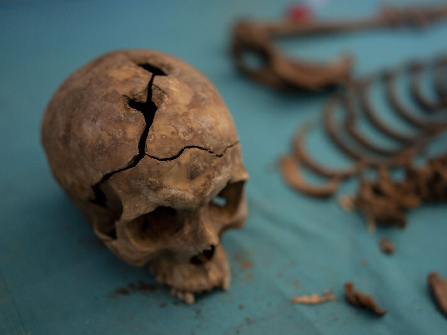 Encuentran el cadáver de una mujer "vampiro" en Polonia con una hoz en el cuello