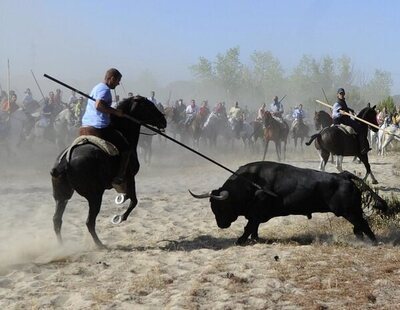 Suspendido de manera cautelar el Toro de la Vega