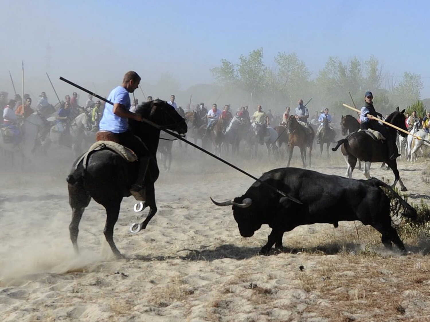 Suspendido de manera cautelar el Toro de la Vega