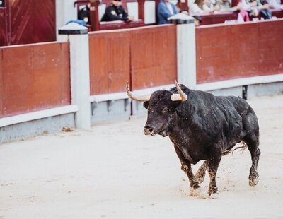 Muere un carnicero corneado por el toro al que se disponía a rematar