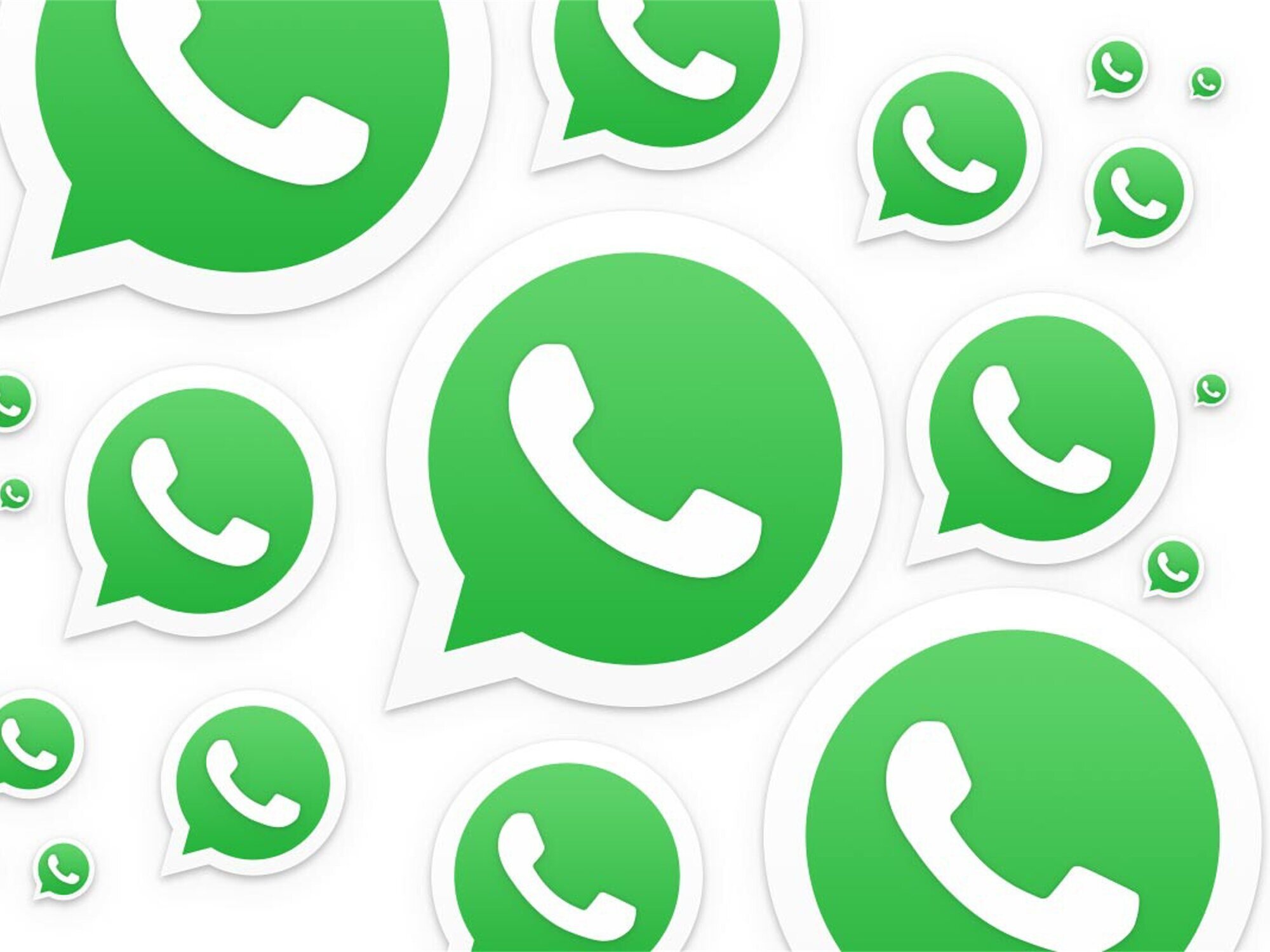 Reportar contacto whatsapp que significa