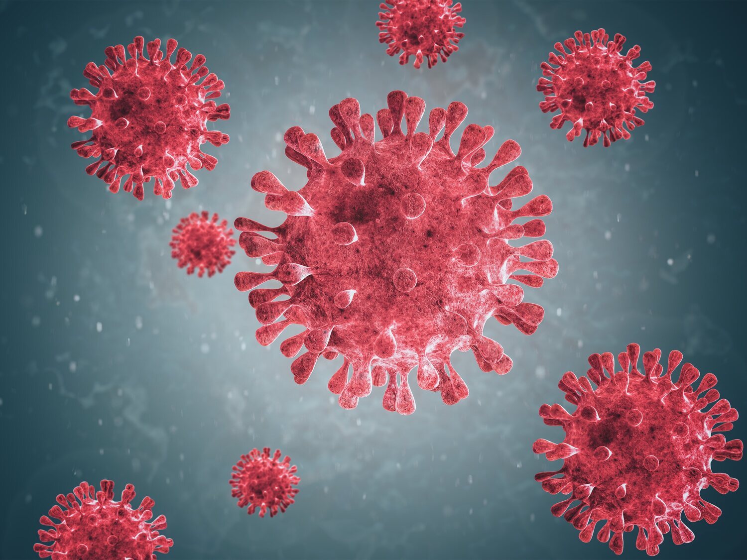 Alerta sanitaria por la expansión del virus sincitial: síntomas, vías de transmisión y cómo prevenirlo