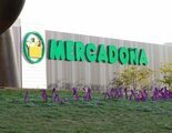 El aviso de Mercadona ante el cierre de supermercados en noviembre