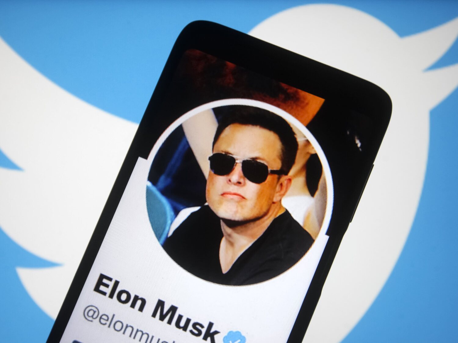 Twitter de pago: el plan de Elon Musk de cobrar a todos los usuarios por usar la red social