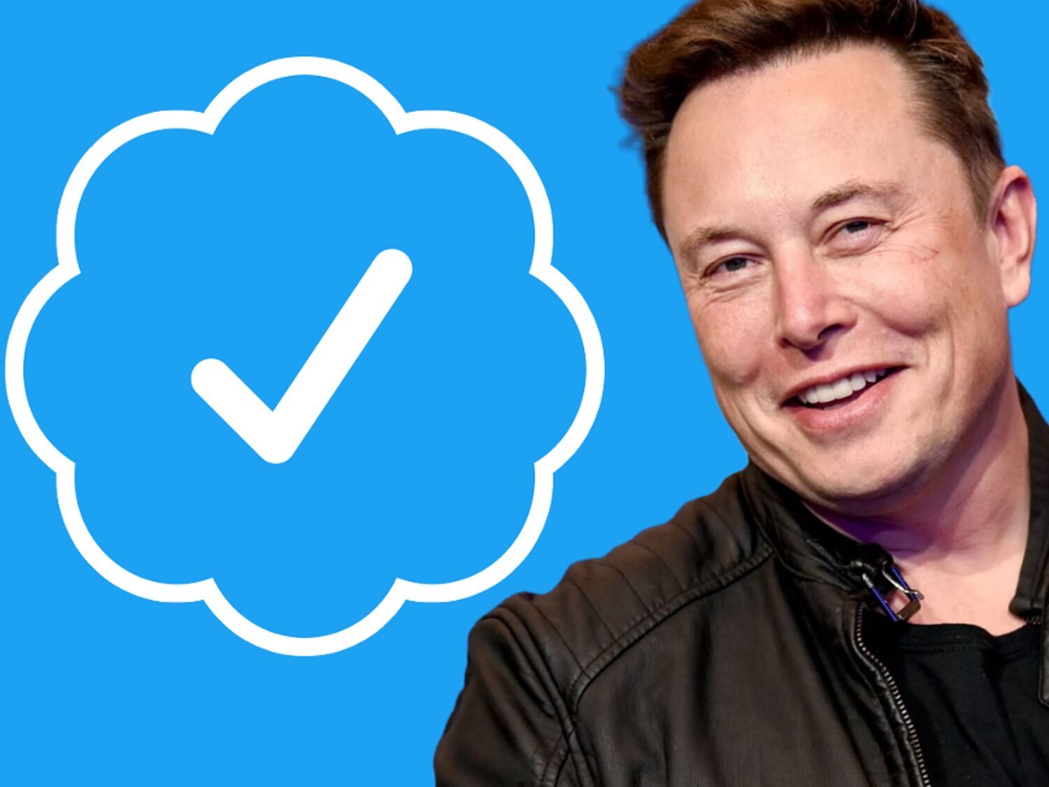 Elon Musk recula: Twitter suspende la verificación de pago tras el caos provocado