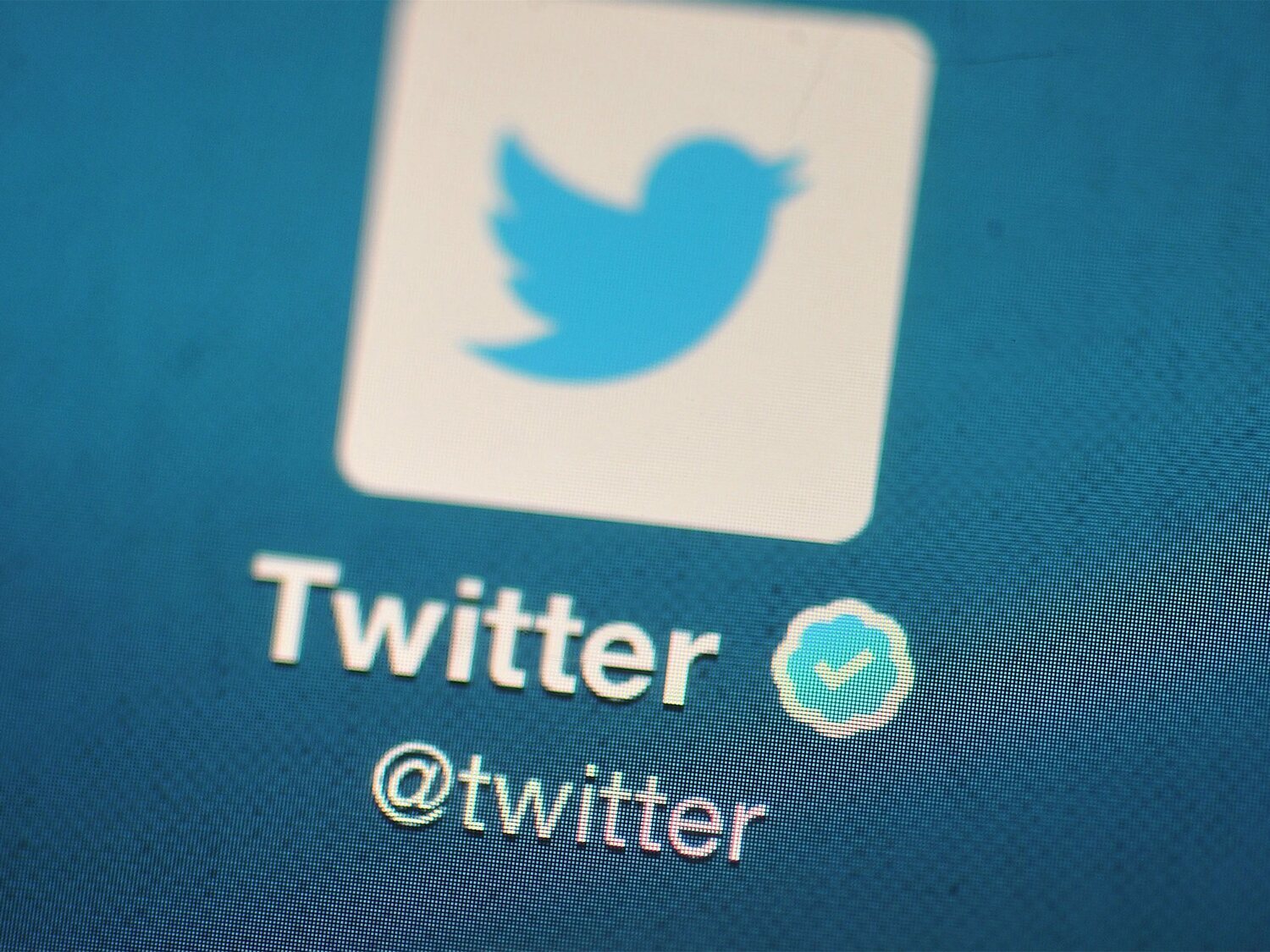 Dimiten en masa cientos de empleados de Twitter que cierra sus oficinas poniendo en peligro el futuro de la red social