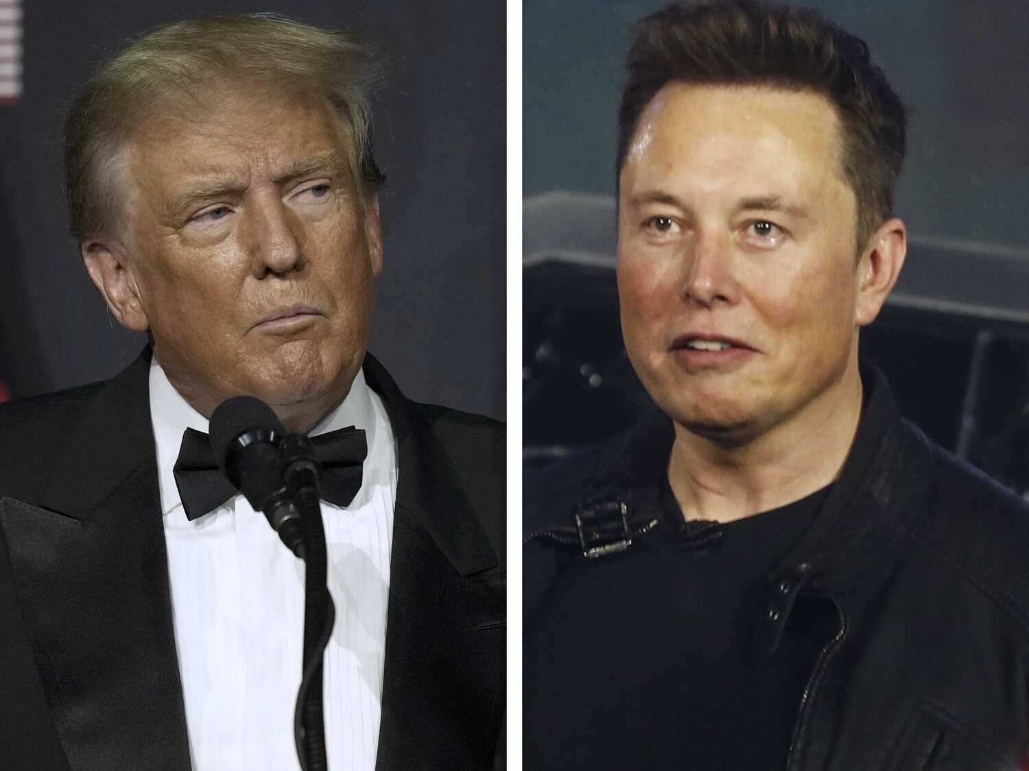 Elon Musk restablece la cuenta de Donald Trump en Twitter