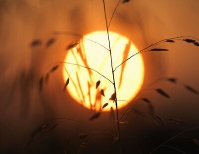 ¿Cuál es el verdadero color del Sol y por qué no es amarillo como siempre hemos creído?