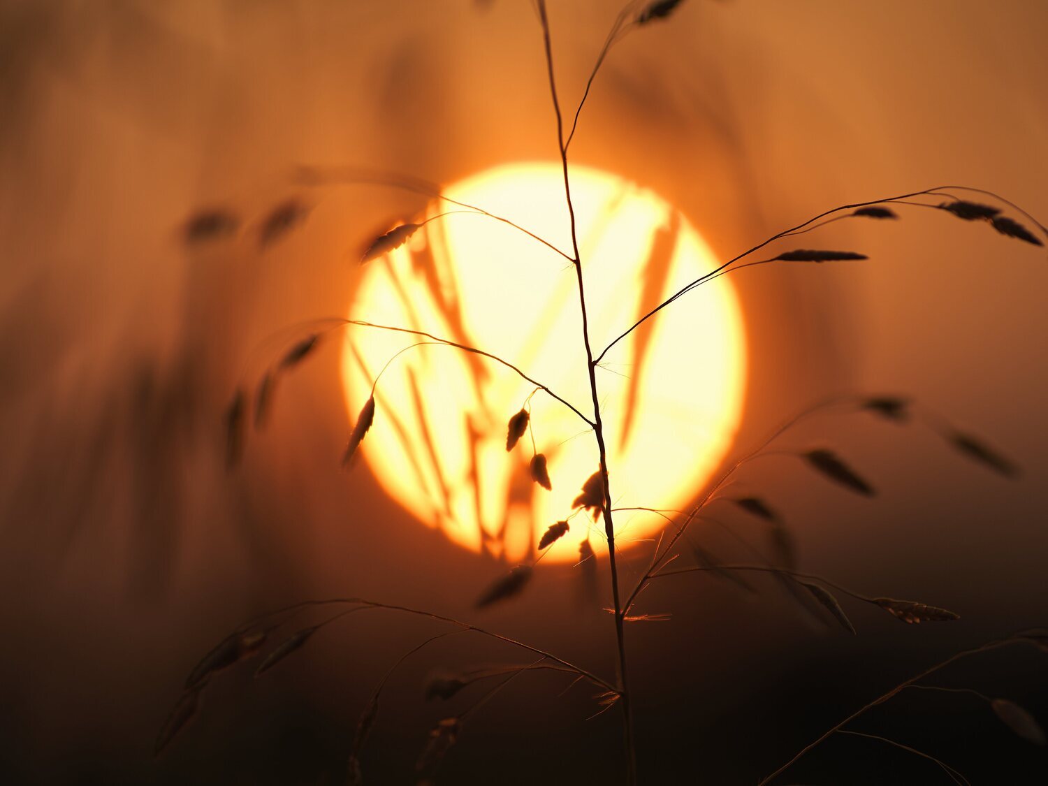 ¿Cuál es el verdadero color del Sol y por qué no es amarillo como siempre hemos creído?