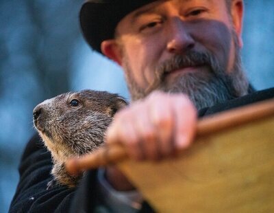 Día de la Marmota: ¿Cómo se predice la duración del invierno en Estados Unidos?