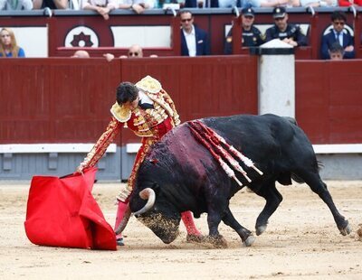 El Supremo anula la exclusión de los toros del Bono Cultural Joven