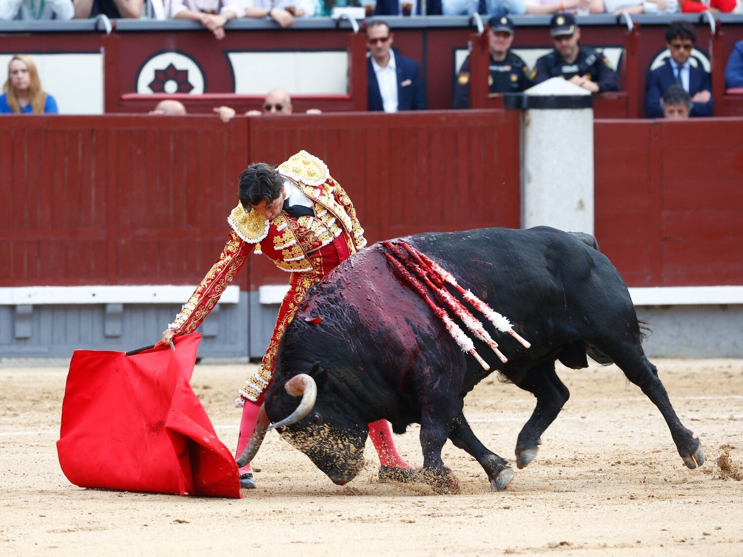 El Supremo anula la exclusión de los toros del Bono Cultural Joven