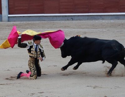 Movistar+ cerrará Canal Toros, una de las patas fundamentales de la estructura económica de la tauromaquia en España