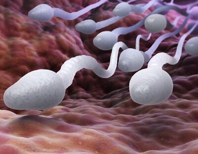 Un anticonceptivo masculino probado en ratones da resultados esperanzadores
