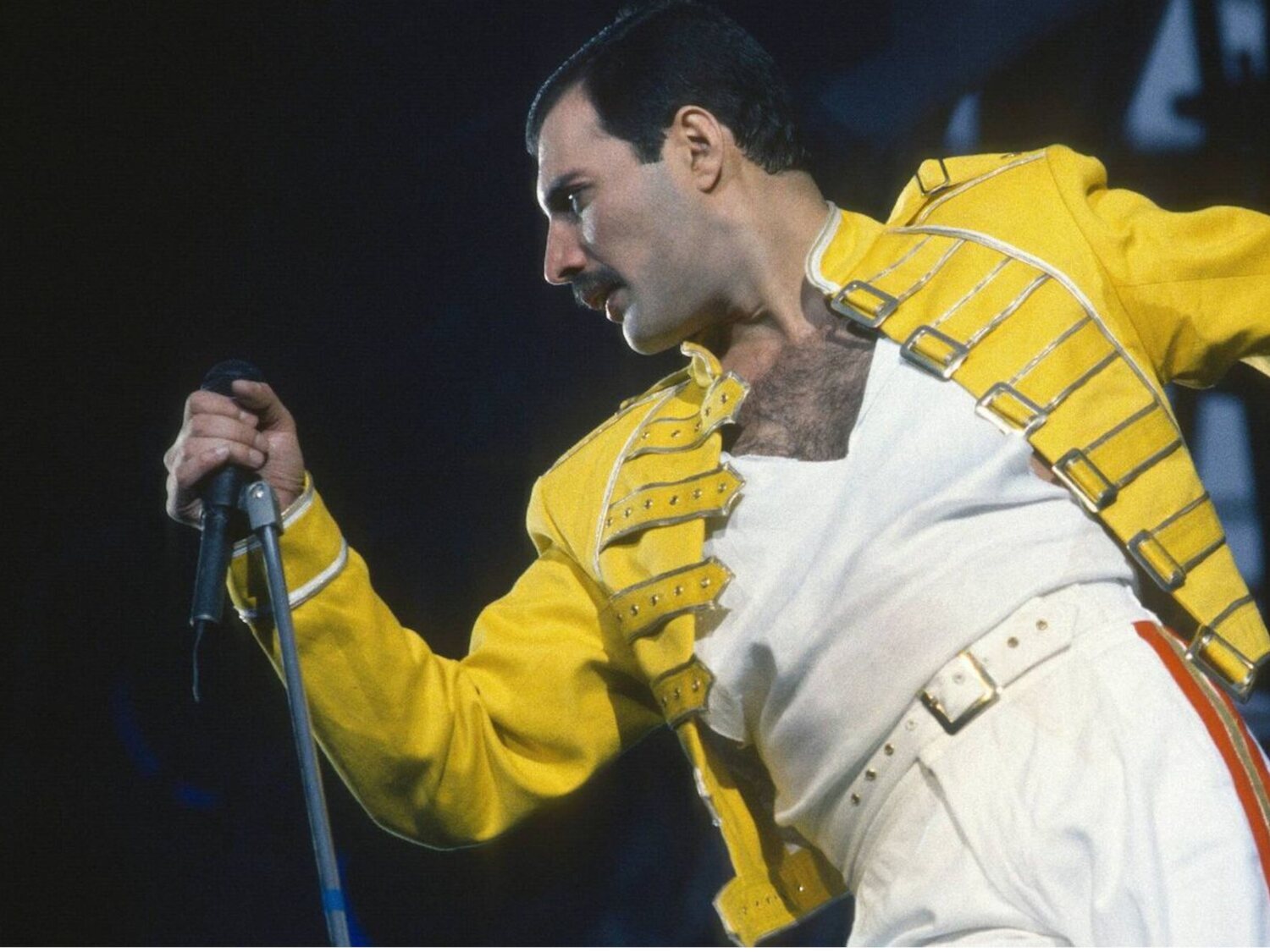 Este sería el aspecto de Freddie Mercury si siguiera vivo, según una IA