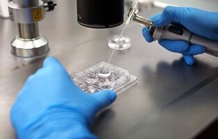Se equivocaron de semen: una pareja descubre que el hijo que tuvieron por una fecundación asistida no es de su padre