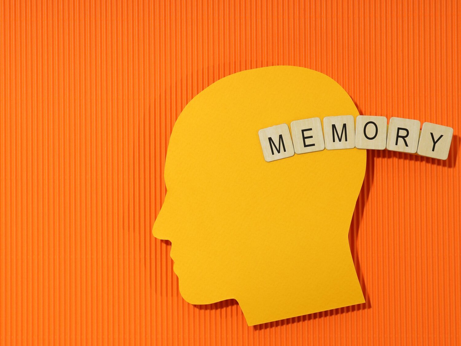 6 consejos imprescindibles para mantener una buena memoria, según un neurocientífico