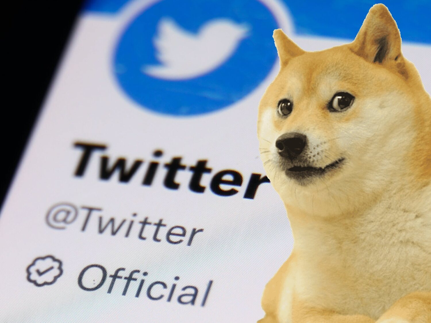 Por qué Twitter ha cambiado a su tradicional pájaro por el perro de Dogecoin
