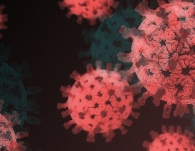 Arcturus: así es la nueva variante del coronavirus sobre la que alerta la OMS