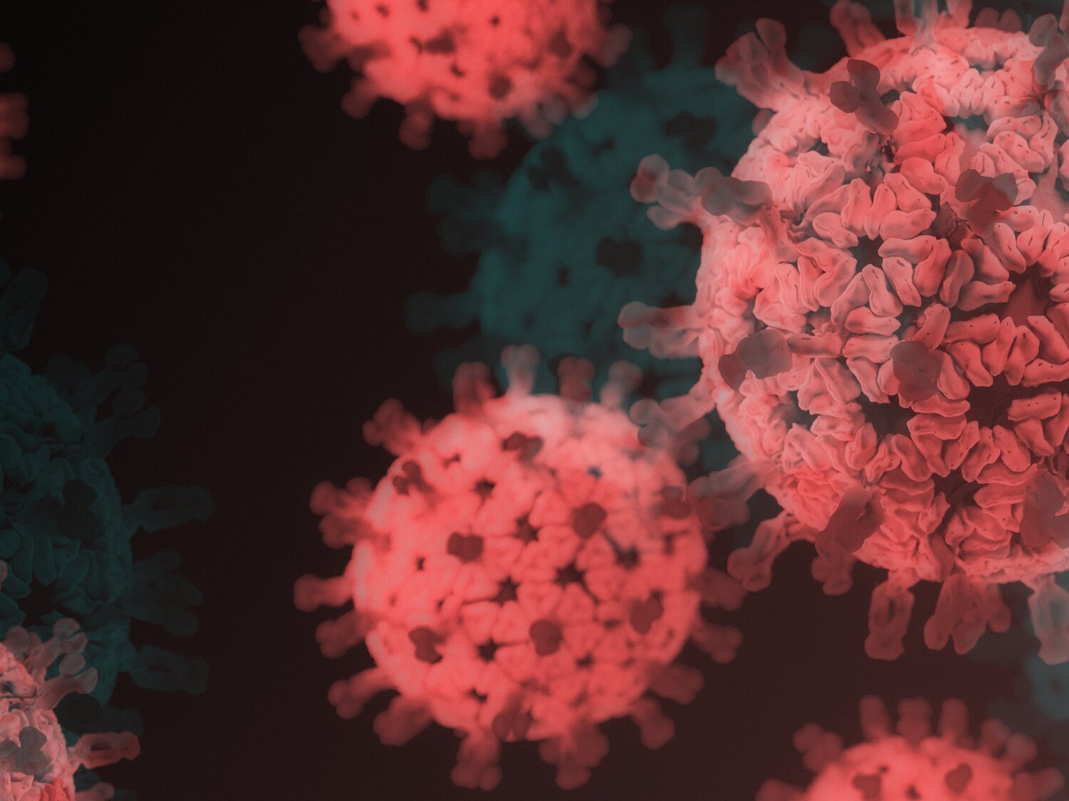 Arcturus: así es la nueva variante del coronavirus sobre la que alerta la OMS