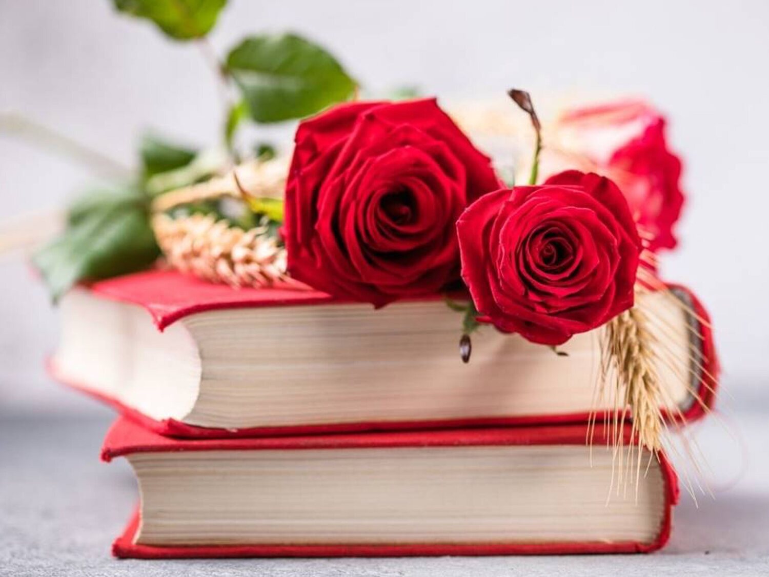 Sant Jordi: ¿Por qué se regala un libro y una rosa?