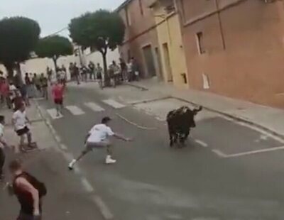 Matan a un toro en Ontinyent (Valencia) tras caer por un barranco durante unos festejos