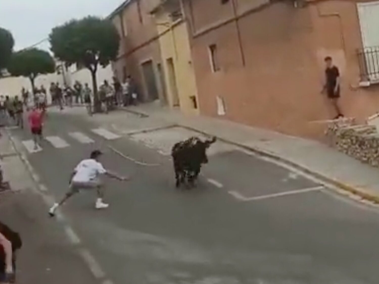 Matan a un toro en Ontinyent (Valencia) tras caer por un barranco durante unos festejos
