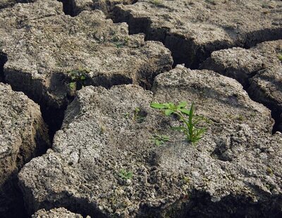 La seria advertencia de la ONU sobre el tiempo que se espera este verano