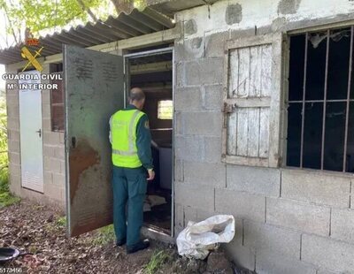 Detenido en Pontevedra por dejar morir de hambre a cinco perros, que se devoraron entre sí