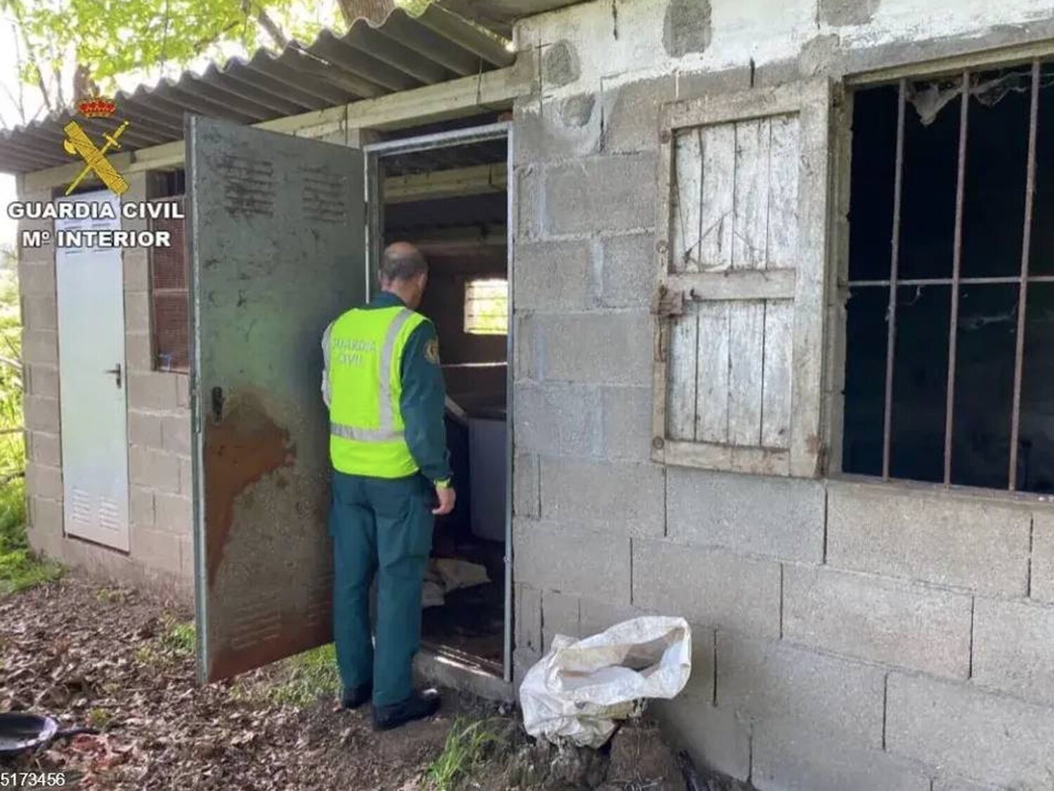 Detenido en Pontevedra por dejar morir de hambre a cinco perros, que se devoraron entre sí