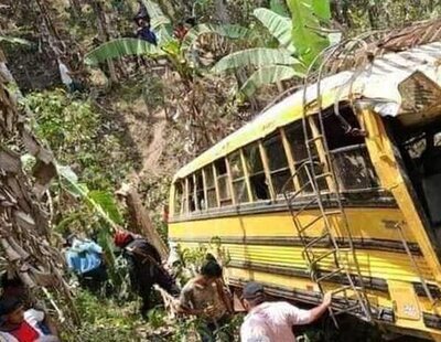 Un enjambre de abejas ataca a 45 pasajeros de un autobús que se precipitó al vacío: hay seis muertos por las picaduras