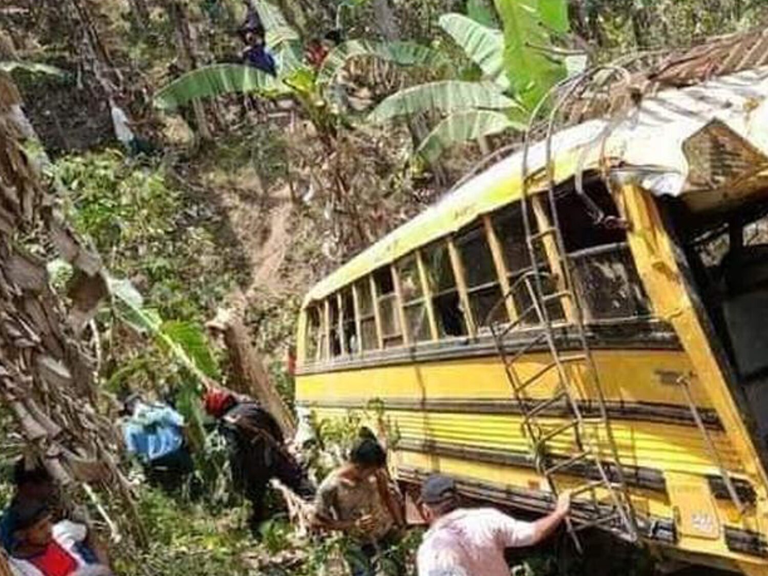 Un enjambre de abejas ataca a 45 pasajeros de un autobús que se precipitó al vacío: hay seis muertos por las picaduras