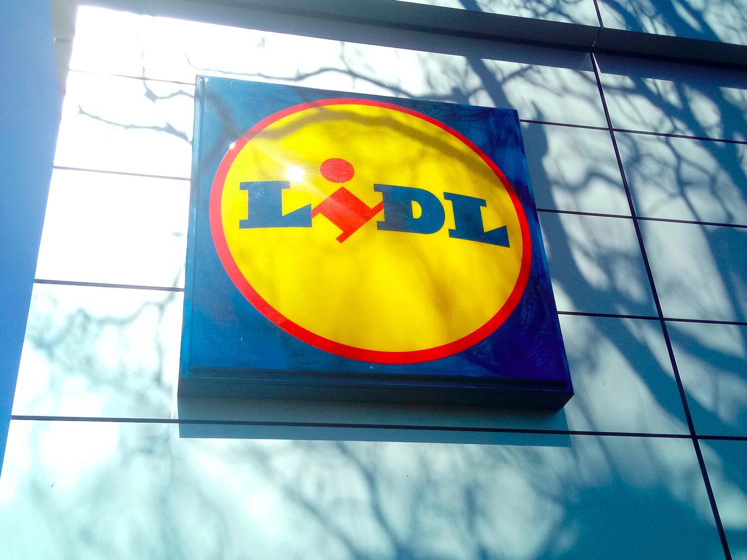 Alerta alimentaria: retiran de la venta este popular alimento de Lidl contaminado con pesticidas