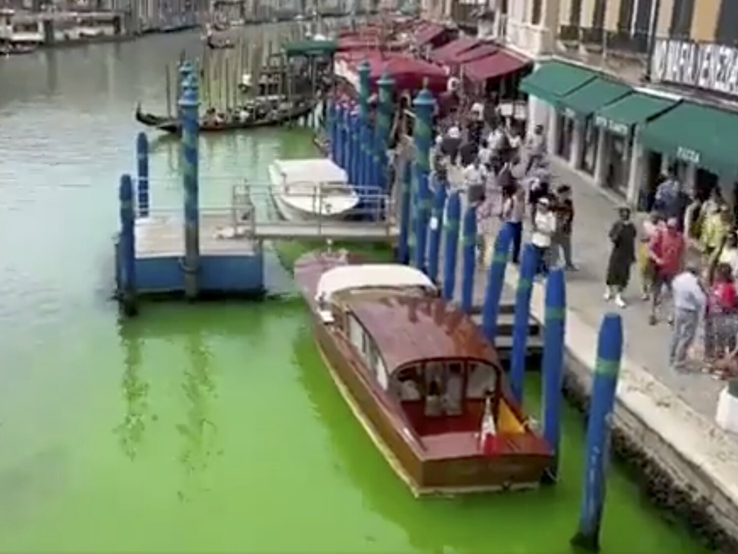 El motivo por los canales de Venecia son ahora verdes